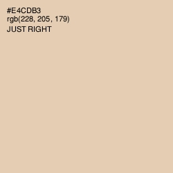 #E4CDB3 - Just Right Color Image