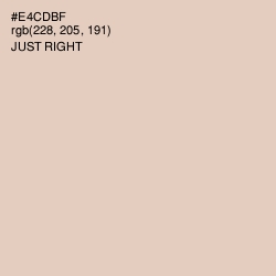 #E4CDBF - Just Right Color Image