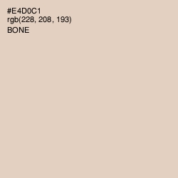 #E4D0C1 - Bone Color Image