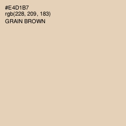 #E4D1B7 - Grain Brown Color Image