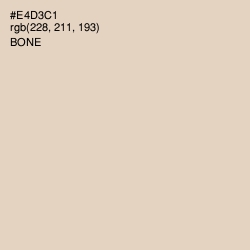 #E4D3C1 - Bone Color Image