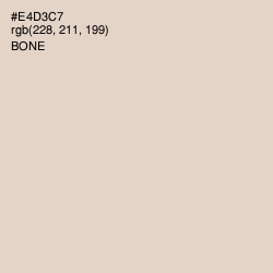 #E4D3C7 - Bone Color Image