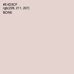 #E4D3CF - Bone Color Image