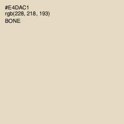 #E4DAC1 - Bone Color Image