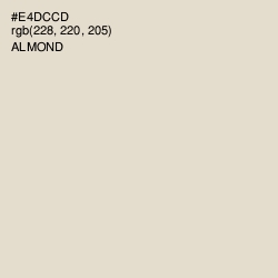#E4DCCD - Almond Color Image