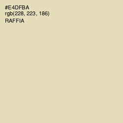 #E4DFBA - Raffia Color Image