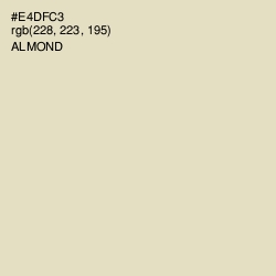 #E4DFC3 - Almond Color Image