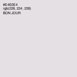 #E4E0E4 - Bon Jour Color Image