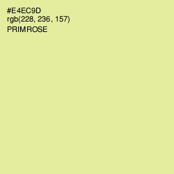 #E4EC9D - Primrose Color Image