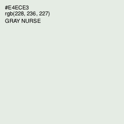 #E4ECE3 - Gray Nurse Color Image