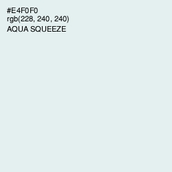 #E4F0F0 - Aqua Squeeze Color Image