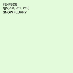 #E4FBDB - Snow Flurry Color Image