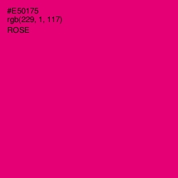 #E50175 - Rose Color Image