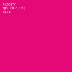 #E50877 - Rose Color Image