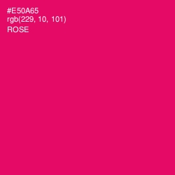 #E50A65 - Rose Color Image