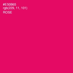 #E50B65 - Rose Color Image