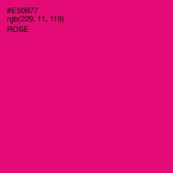 #E50B77 - Rose Color Image