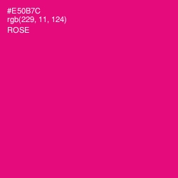 #E50B7C - Rose Color Image