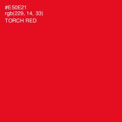 #E50E21 - Torch Red Color Image