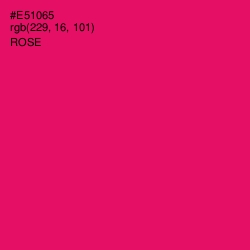 #E51065 - Rose Color Image