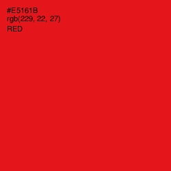 #E5161B - Red Color Image