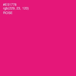 #E51778 - Rose Color Image