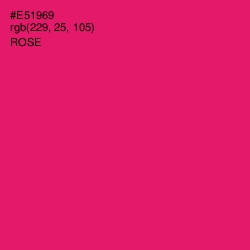 #E51969 - Rose Color Image