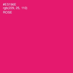 #E5196E - Rose Color Image