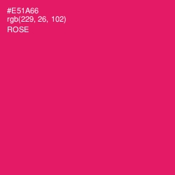 #E51A66 - Rose Color Image