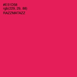 #E51D58 - Razzmatazz Color Image