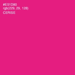 #E51D80 - Cerise Color Image