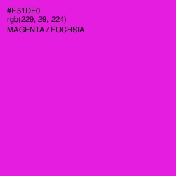 #E51DE0 - Magenta / Fuchsia Color Image