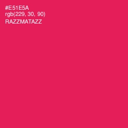 #E51E5A - Razzmatazz Color Image
