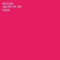 #E51E62 - Rose Color Image