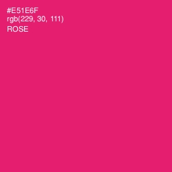 #E51E6F - Rose Color Image