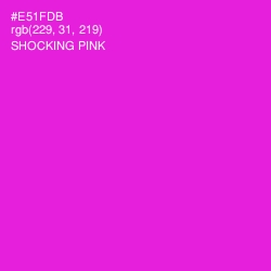 #E51FDB - Shocking Pink Color Image