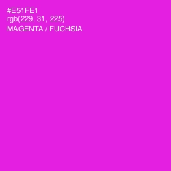 #E51FE1 - Magenta / Fuchsia Color Image