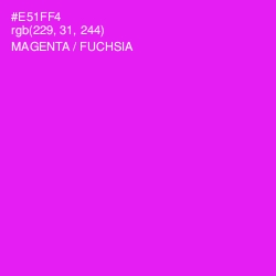 #E51FF4 - Magenta / Fuchsia Color Image