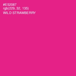 #E52087 - Wild Strawberry Color Image