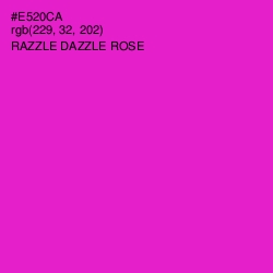 #E520CA - Razzle Dazzle Rose Color Image