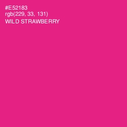 #E52183 - Wild Strawberry Color Image