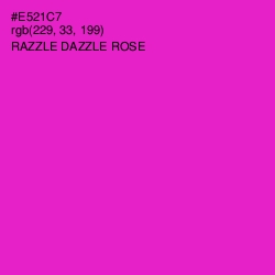 #E521C7 - Razzle Dazzle Rose Color Image