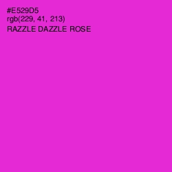 #E529D5 - Razzle Dazzle Rose Color Image