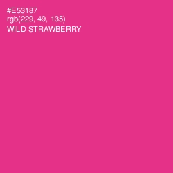 #E53187 - Wild Strawberry Color Image