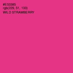 #E53385 - Wild Strawberry Color Image