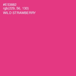 #E53882 - Wild Strawberry Color Image
