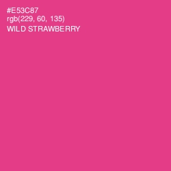#E53C87 - Wild Strawberry Color Image