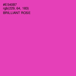 #E540B7 - Brilliant Rose Color Image