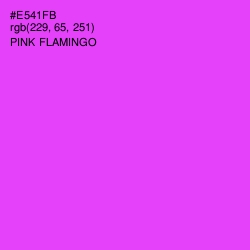 #E541FB - Pink Flamingo Color Image