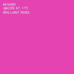 #E543B1 - Brilliant Rose Color Image